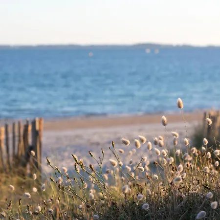 La Voilerie-2 By Interhome Apartamento Carnac